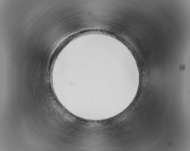 X0000114000927200911131137