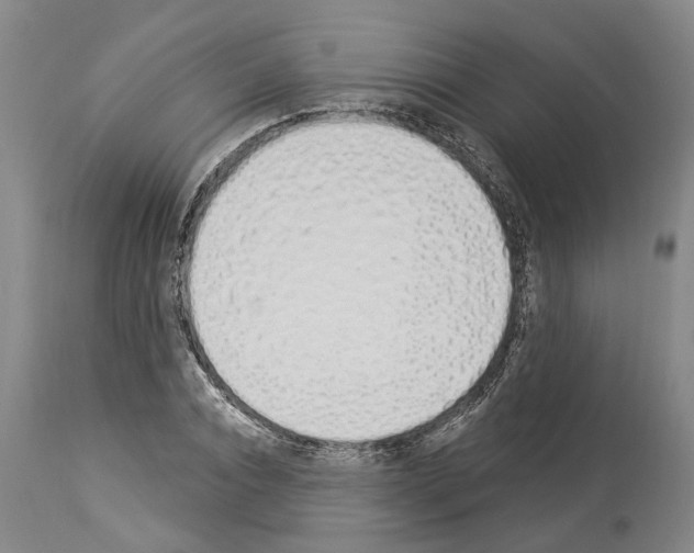 X0000114000928200911131137