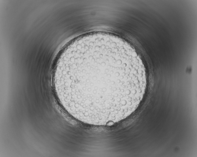 X0000114000931200911131137