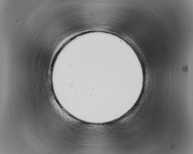 X0000114000932200911131137