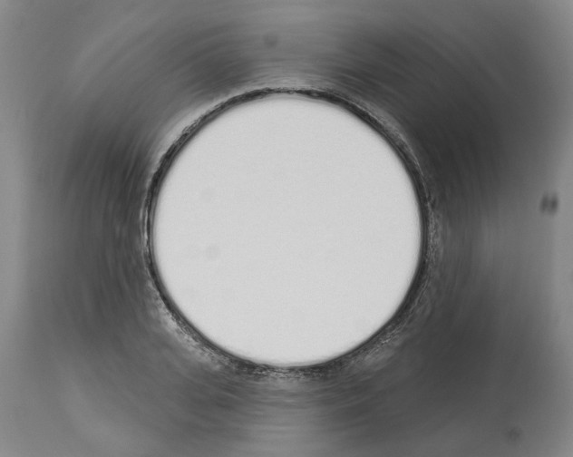 X0000114000935200911131137