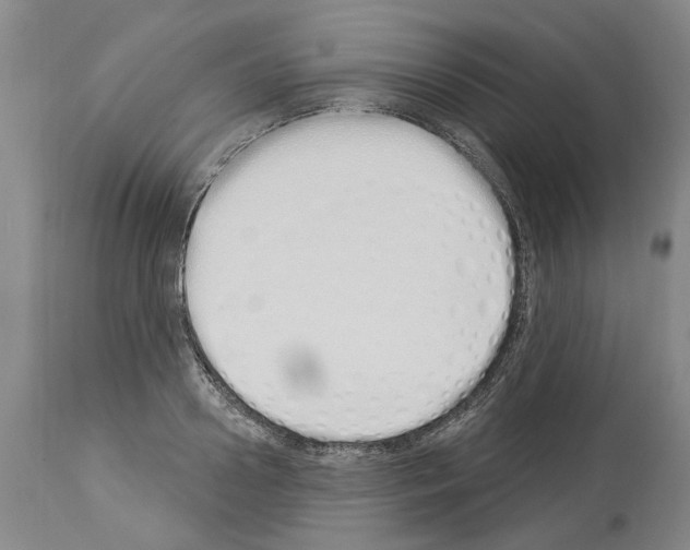 X0000114000938200911131137