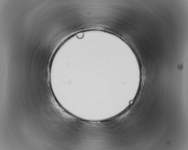 X0000114000940200911131137