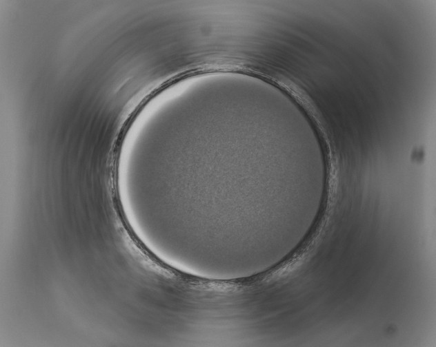X0000114000941200911131137