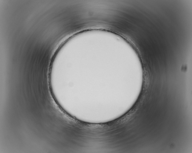 X0000114000943200911131137