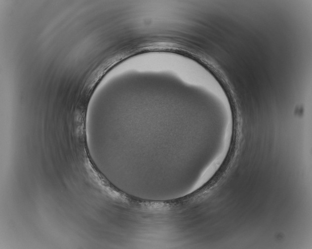 X0000114000945200911131137