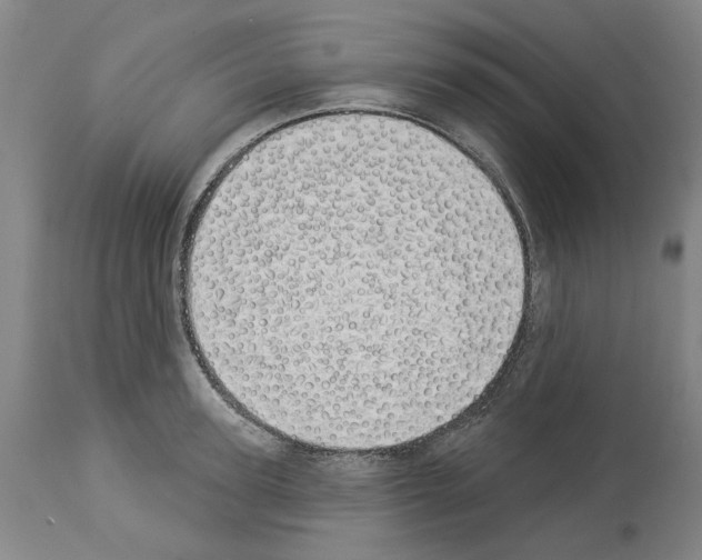X0000114000947200911131137