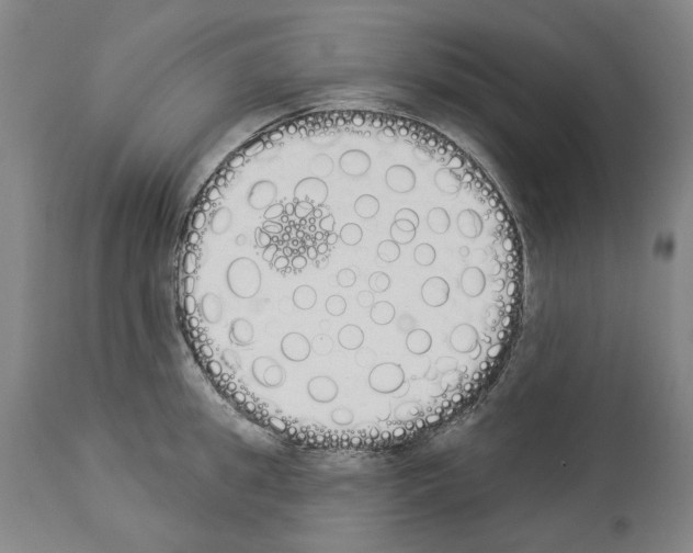 X0000114000949200911131137