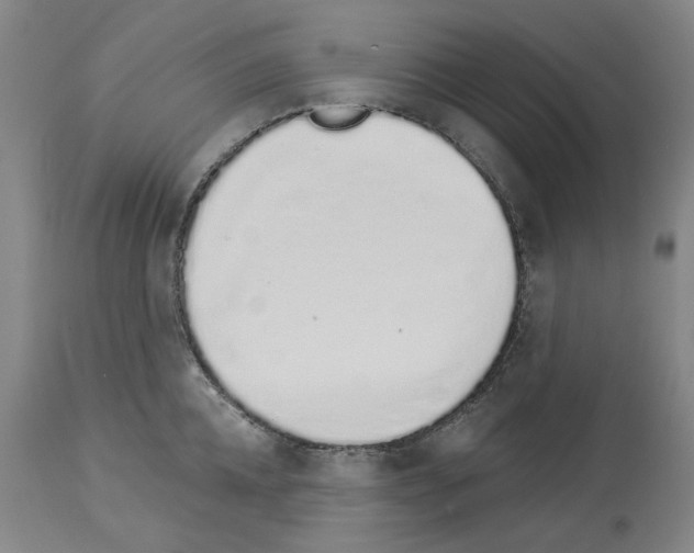 X0000114000952200911131137
