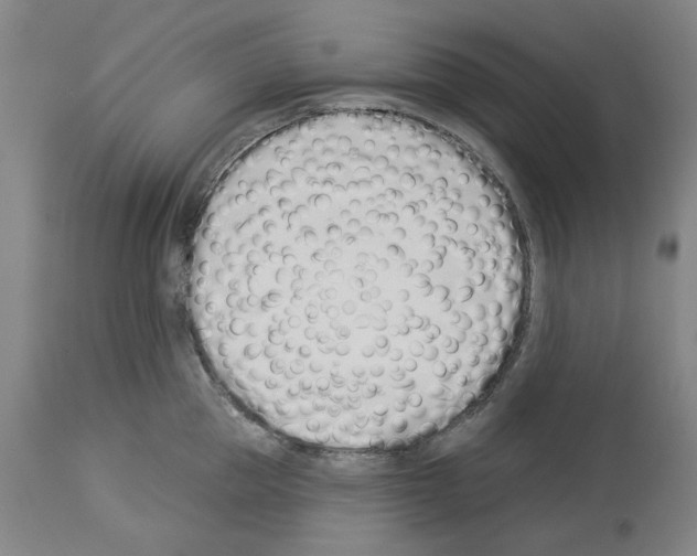 X0000114000953200911131137