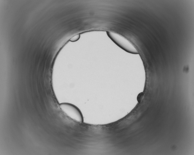 X0000114000956200911131138