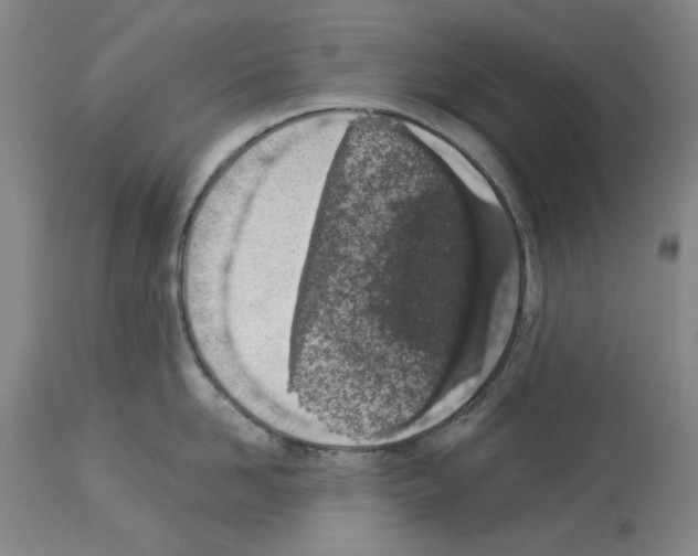 X0000114000958200911131138