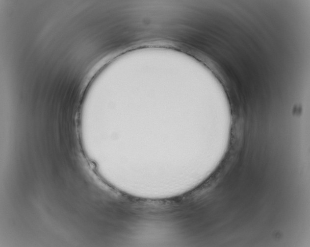 X0000114000959200911131138