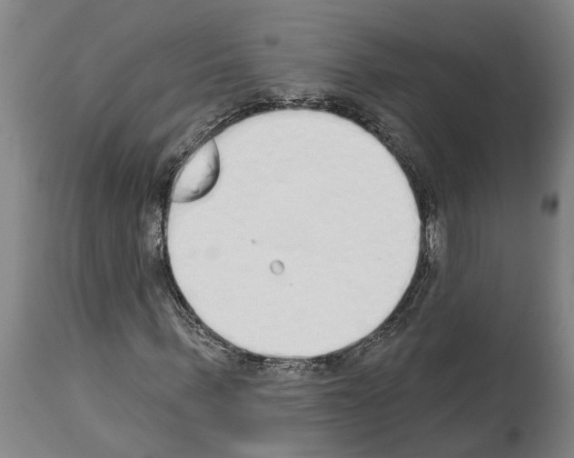 X0000114000963200911131137