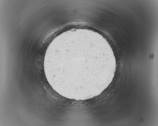X0000114000967200911131136