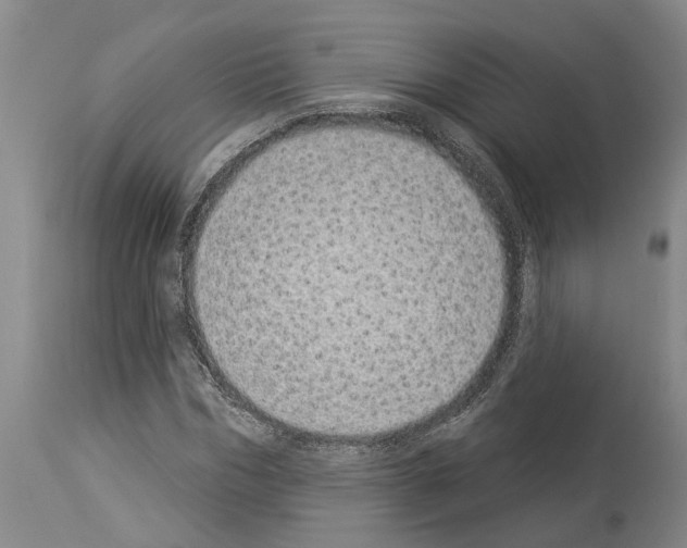 X0000114000970200911131136