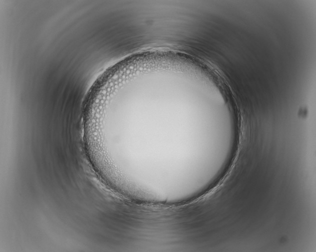 X0000114000973200911131136