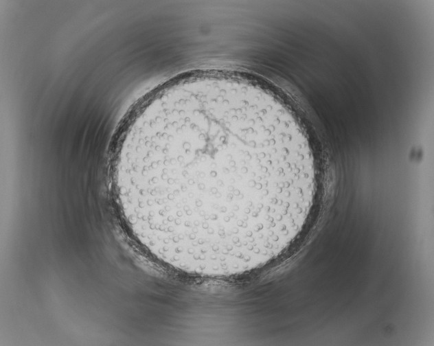 X0000114000974200911131136
