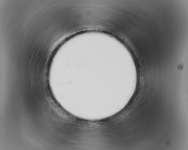 X0000114000975200911131136