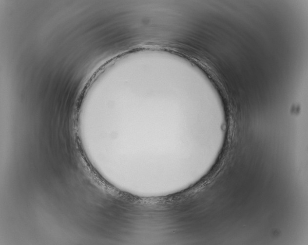X0000114000976200911131136