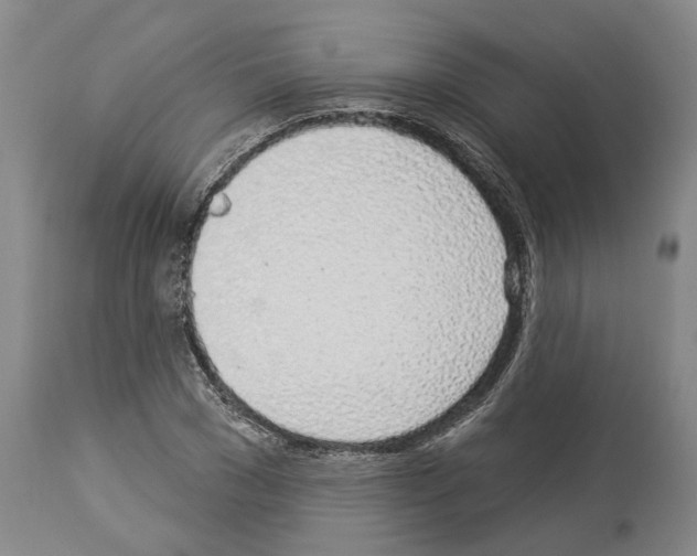 X0000114000977200911131136