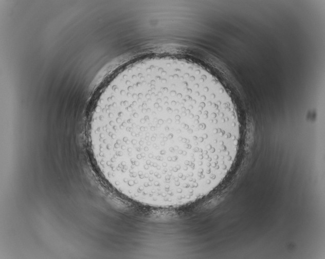 X0000114000978200911131136