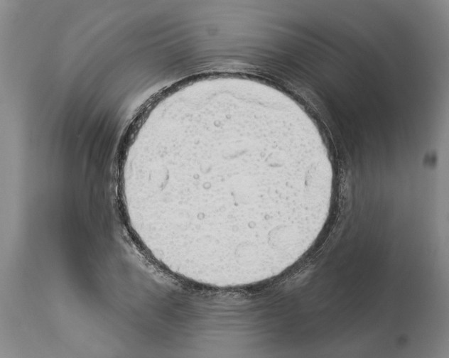 X0000114000979200911131136