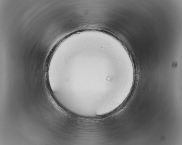 X0000114000981200911131136