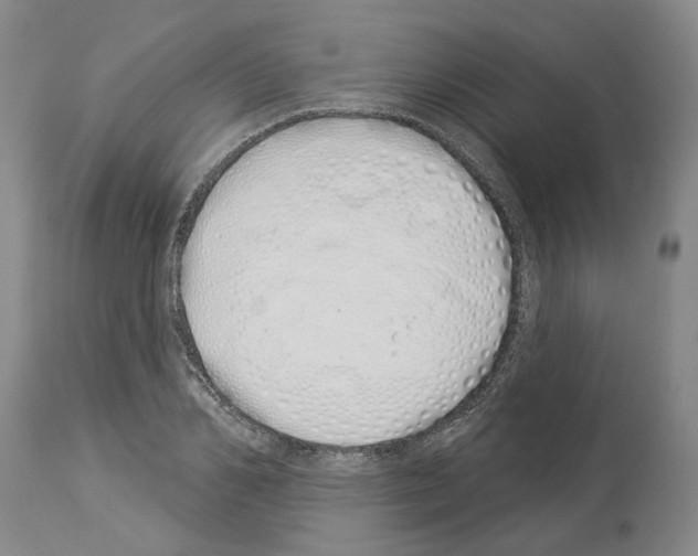 X0000114000982200911131136