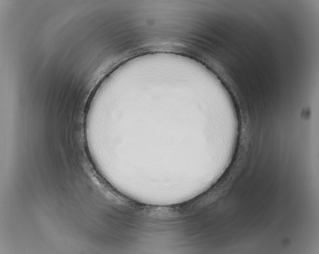 X0000114000986200911131136