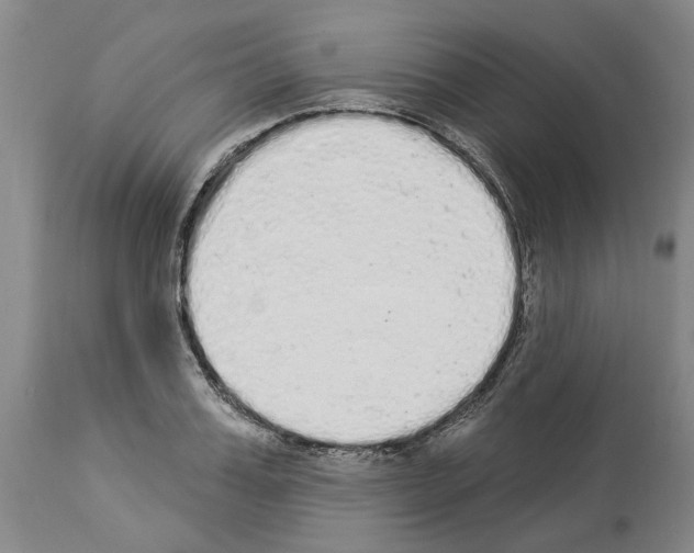 X0000114000987200911131136