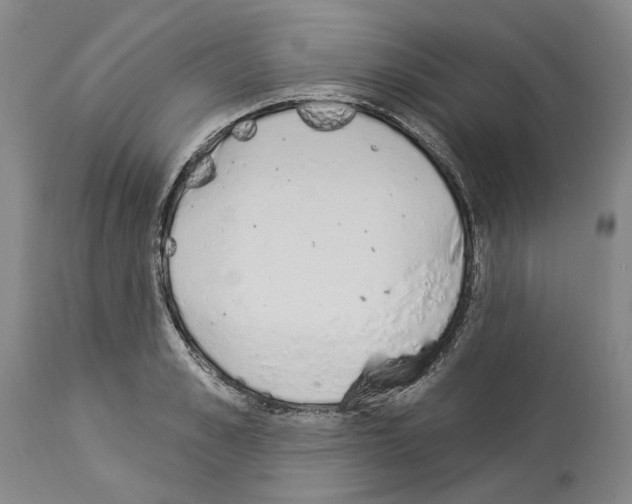 X0000114000989200911131136