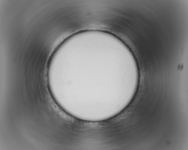 X0000114000990200911131136