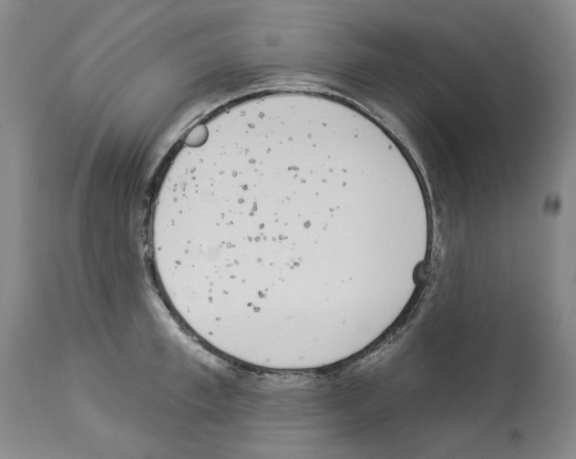 X0000114000997200911131136
