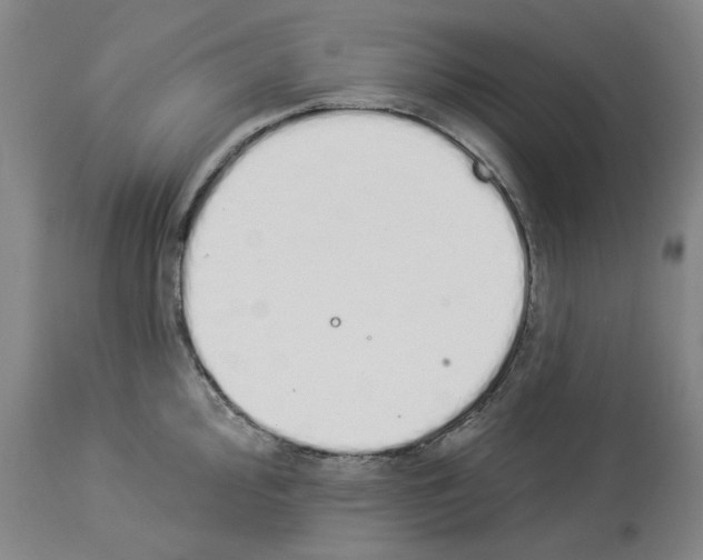 X0000114001000200911131136