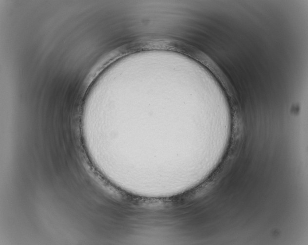 X0000114001002200911131136