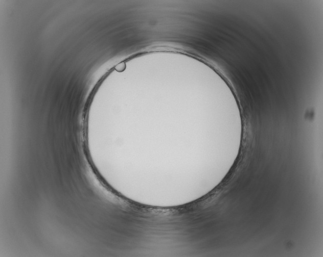 X0000114001003200911131136