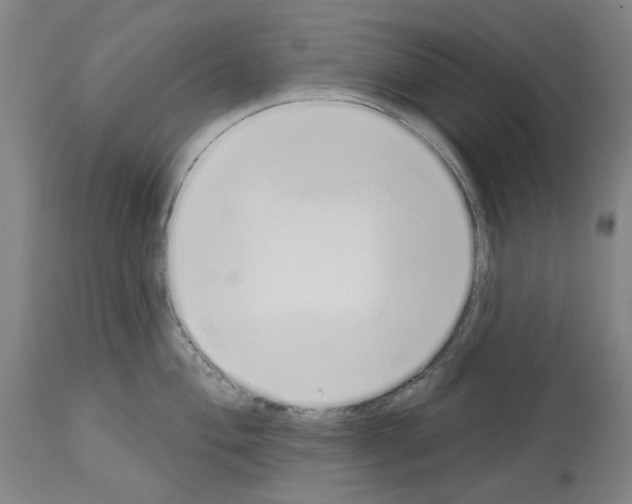 X0000114001004200911131136