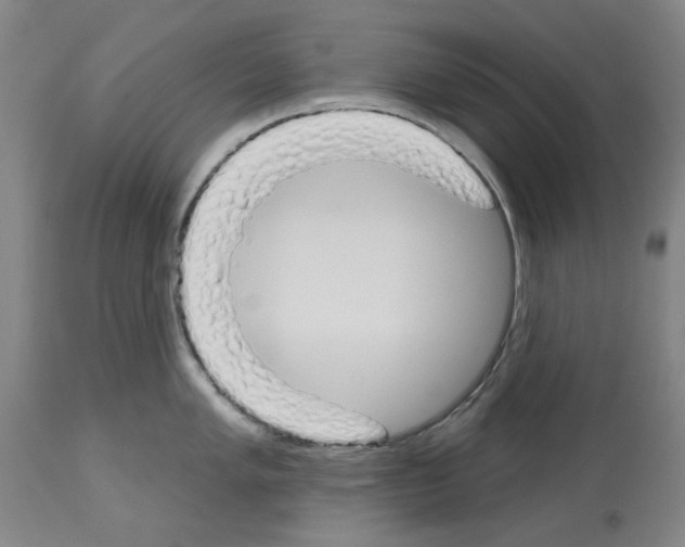 X0000114001005200911131136