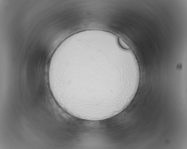 X0000114001006200911131136