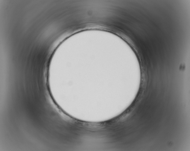 X0000114001007200911131136