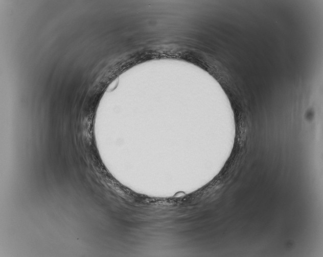 X0000114001010200911131135
