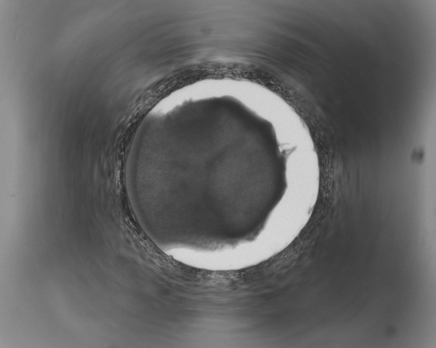 X0000114001013200911131135