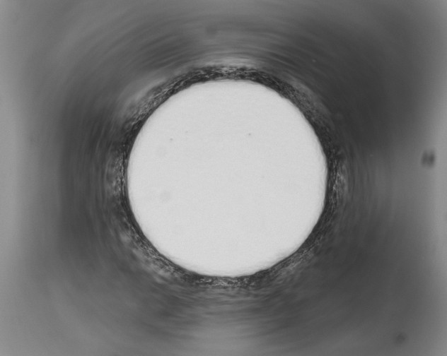 X0000114001014200911131135
