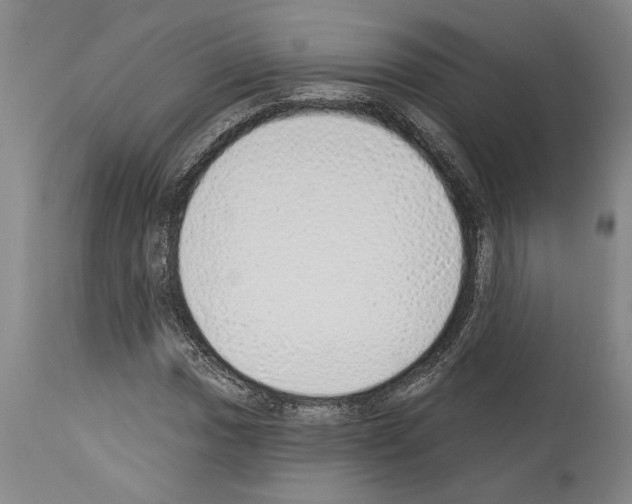 X0000114001017200911131135