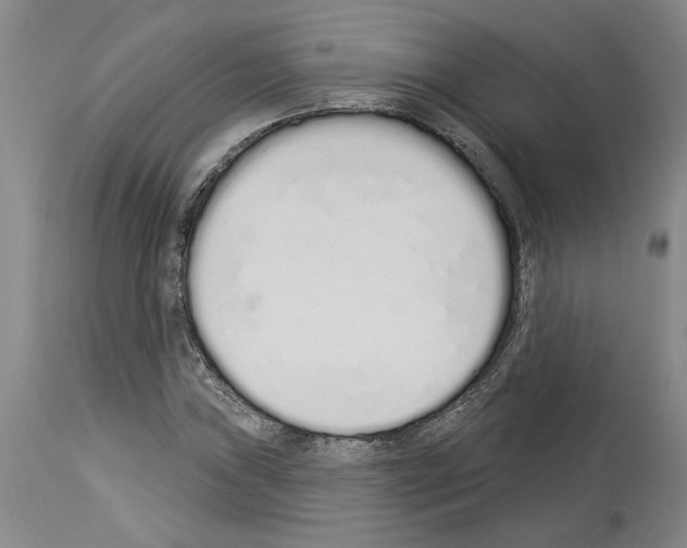 X0000114001019200911131135