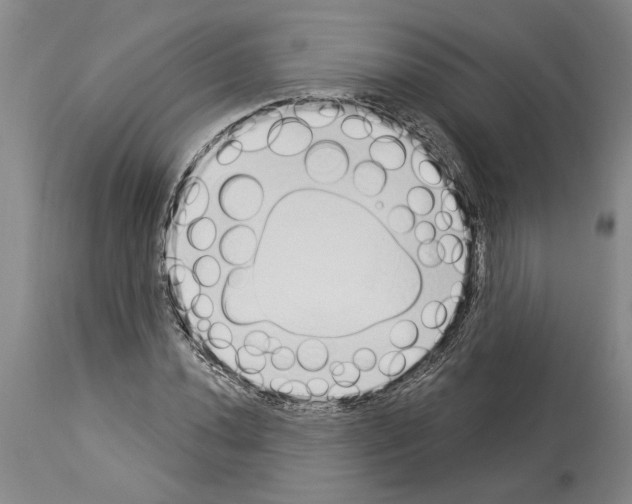 X0000114001020200911131135
