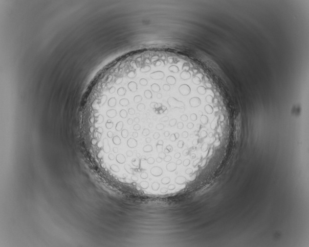 X0000114001021200911131135