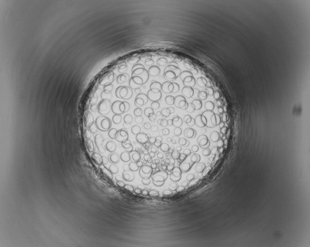 X0000114001022200911131135