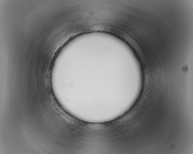 X0000114001023200911131135